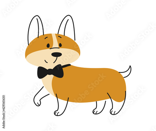 Cute dog in suit. Fluffy pet Corgi with bow tie in line art. Linear doodle print with lovely puppy for websites and social media. Cartoon flat vector illustration isolated on white background