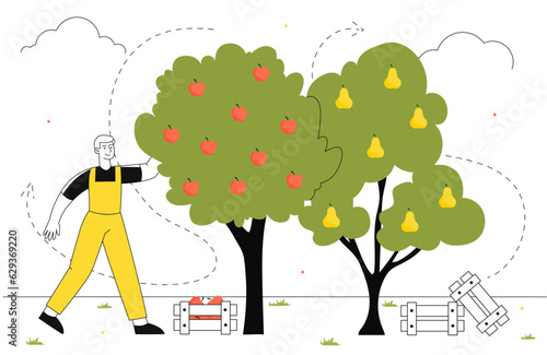 Man picking up apples line vector concept