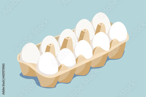 Eggs at package vector concept