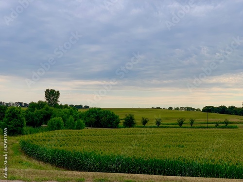 field and blue sky