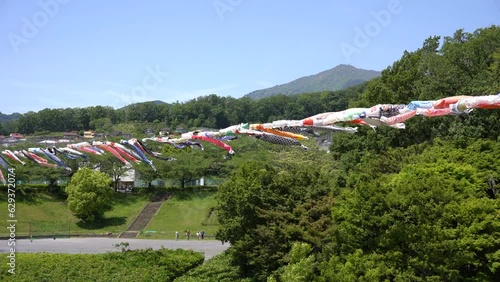 4K,鯉のぼり,風景, 青空, 自然, 野原, 草, 緑
