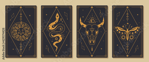 Set of magical tarot cards vector