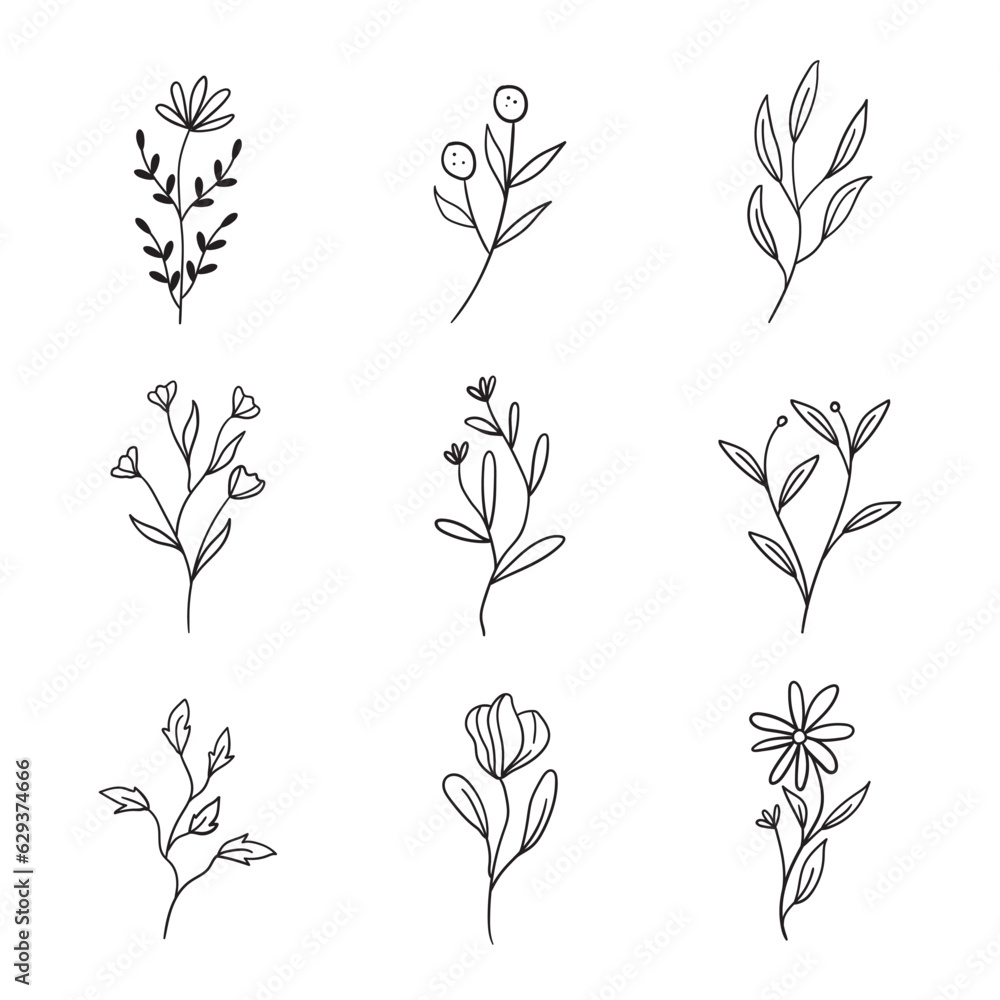 Floral Minimalist Line Element Floral Minimalist Line Element