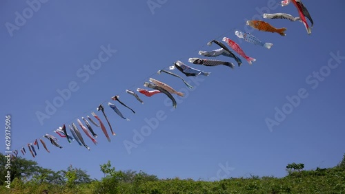 4K,鯉のぼり,風景, 青空, 自然, 野原, 草, 緑
