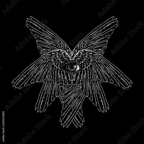 angel wings and eye hand drawing vector isolated on black background.