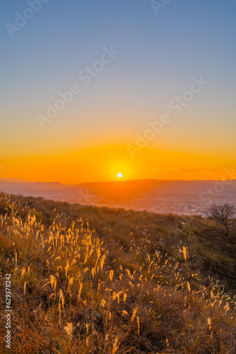 夕暮れ時の若草山