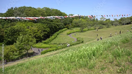iMovie, 4K,鯉のぼり,風景, 青空, 自然, 野原, 草, 緑