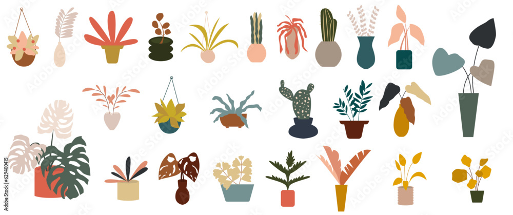 Simple Houseplant and Indoor Plant Illustration 1