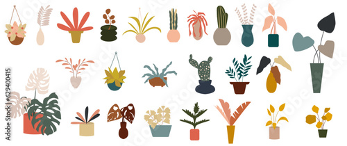 Simple Houseplant and Indoor Plant Illustration 1