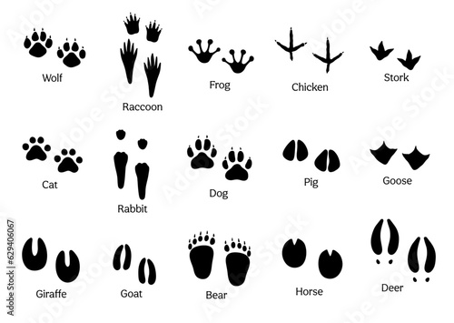 Black silhouette of paw prints of different animals isolated on white. Vector set footprints