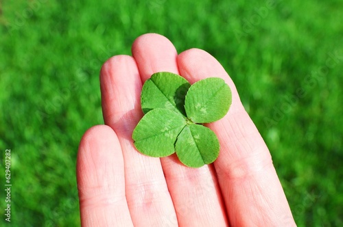 Four-leaf clover in a hand. Concept Saint Patricks day, lucky charm,...