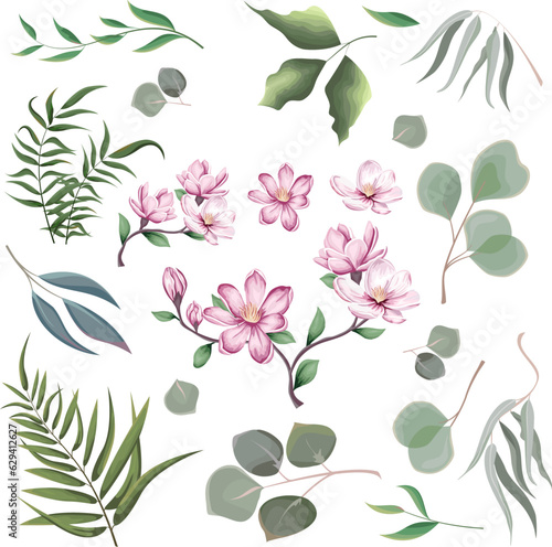 Mix of herbs and plants vector big collection. Green plants and leaves. All elements are isolated. A branch of pink magnolia, sakura. . Vector illustration