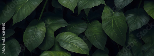 abstract green leaf texture, nature background, tropical leaf