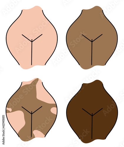 Female body and women's hygiene and health concept. Menopause, Gynecology and care for women's sexual health. Maternity and pregnancy sign. Illustration in cartoon style