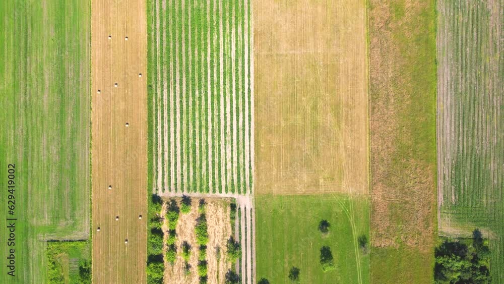 Abstract geometric shapes of agricultural parcels of different crops in yellow and green colors. Aerial view shoot from drone directly above field Abstract geometric shapes of agricultural parcels of different crops in yellow and green colors. Aerial view shoot from drone directly above field
