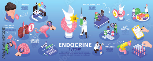 Isometric Endocrinologist Infographic