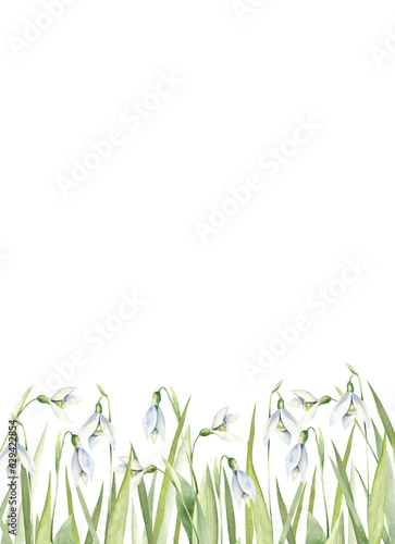 Watercolor floral frame. Spring snowdrops, first flowers border. Hand drawn illustration isolated on white background. Wedding, birthday, card, botanical design template, spring print.