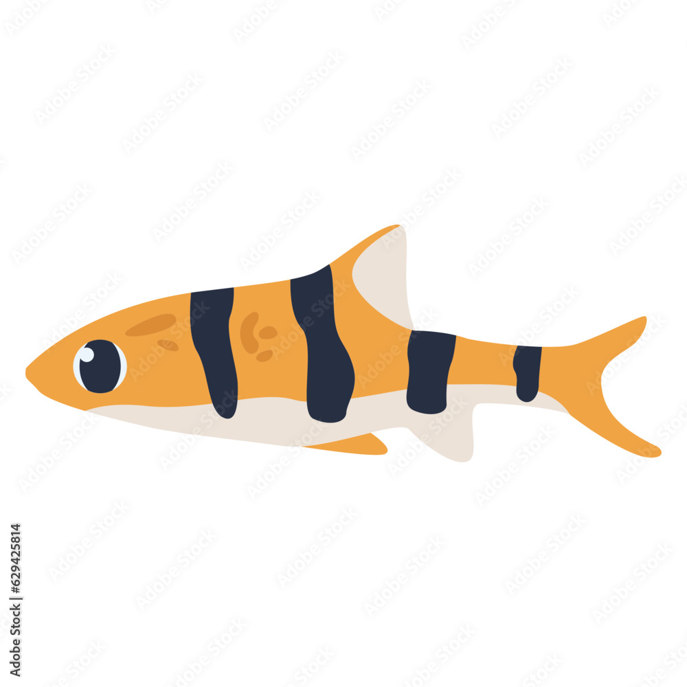 Tigerfish Fish 2D Color Illustrations