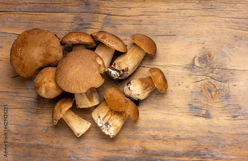 a bunch of boletus porcini mushrooms on a wooden table top view with copy space