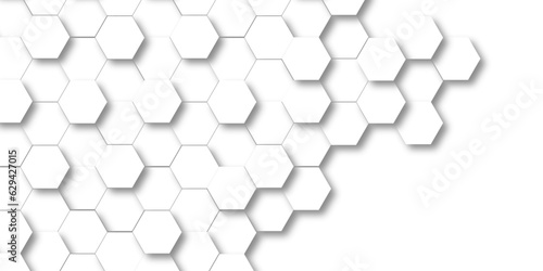 Background with white and black lines 3d Hexagonal structure futuristic white background and Embossed Hexagon , honeycomb white Background ,light and shadow ,Vector.