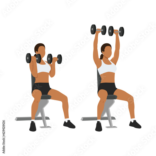 Woman doing seated Arnold press on a bench exercise. Flat vector illustration isolated on white background
