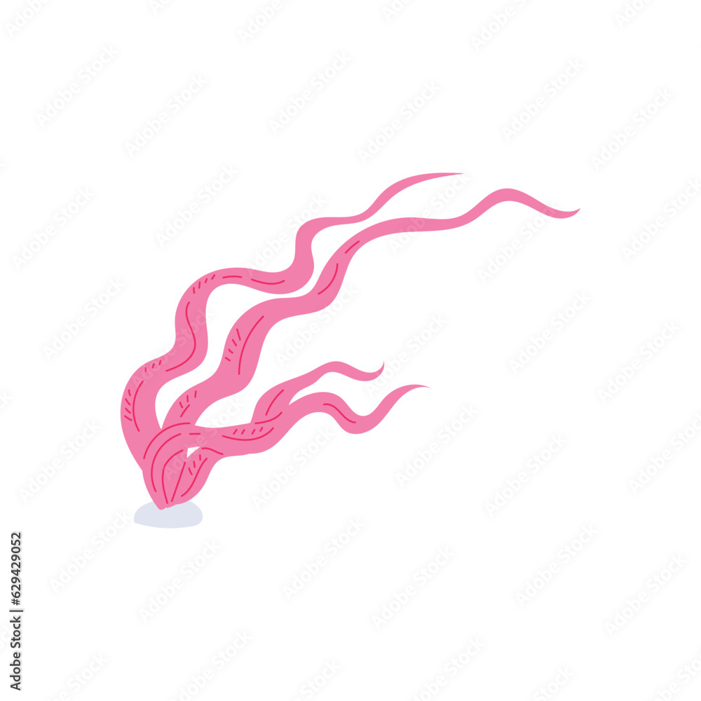 Long pink seaweeds flat style, vector illustration isolated on white Long pink seaweeds flat style, vector illustration isolated on white