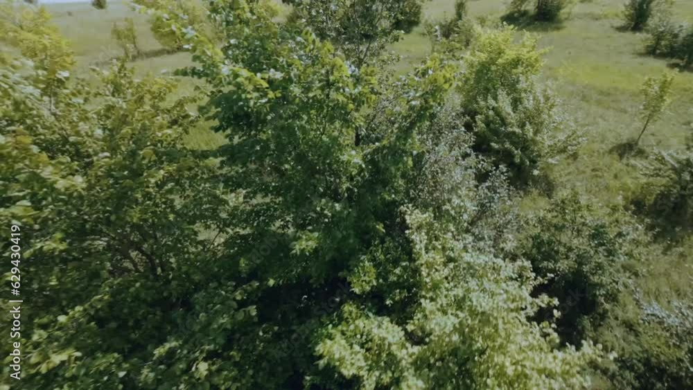 FPV shooting hills in summer, aerial nature photography, shooting on fpv drone FPV shooting hills in summer, aerial nature photography, shooting on fpv drone