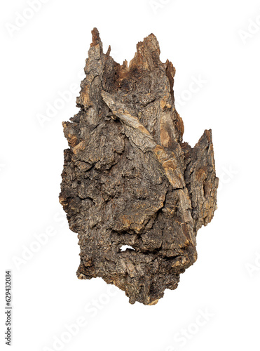 Texture tree bark on white isolated background, top view. Natural material, podium for product. Design element. Woodland Spirit face. Copy space