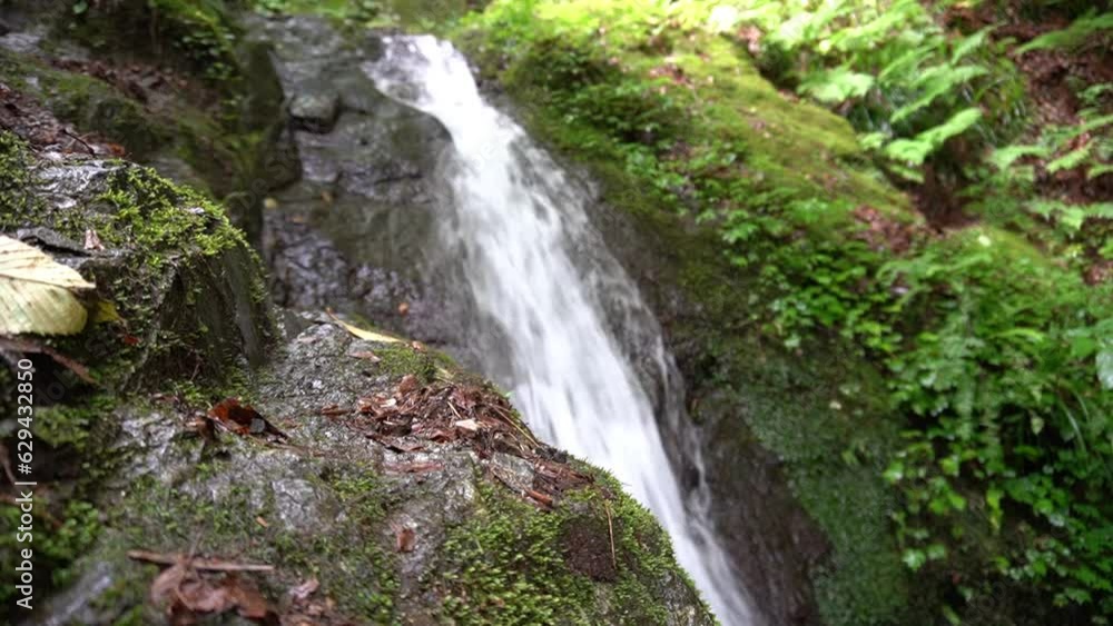 Falls at Shiratani stream in Boonooreyama mountain hiking trail Falls at Shiratani stream in Boonooreyama mountain hiking trail