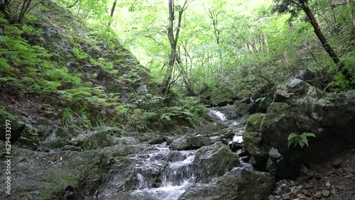 Falls at Shiratani stream in Boonooreyama mountain hiking trail