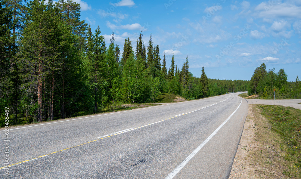 Empty asphalt road in the coniferous forest Empty asphalt road in the coniferous forest