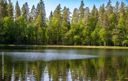 Lake in green forest with grassy shore