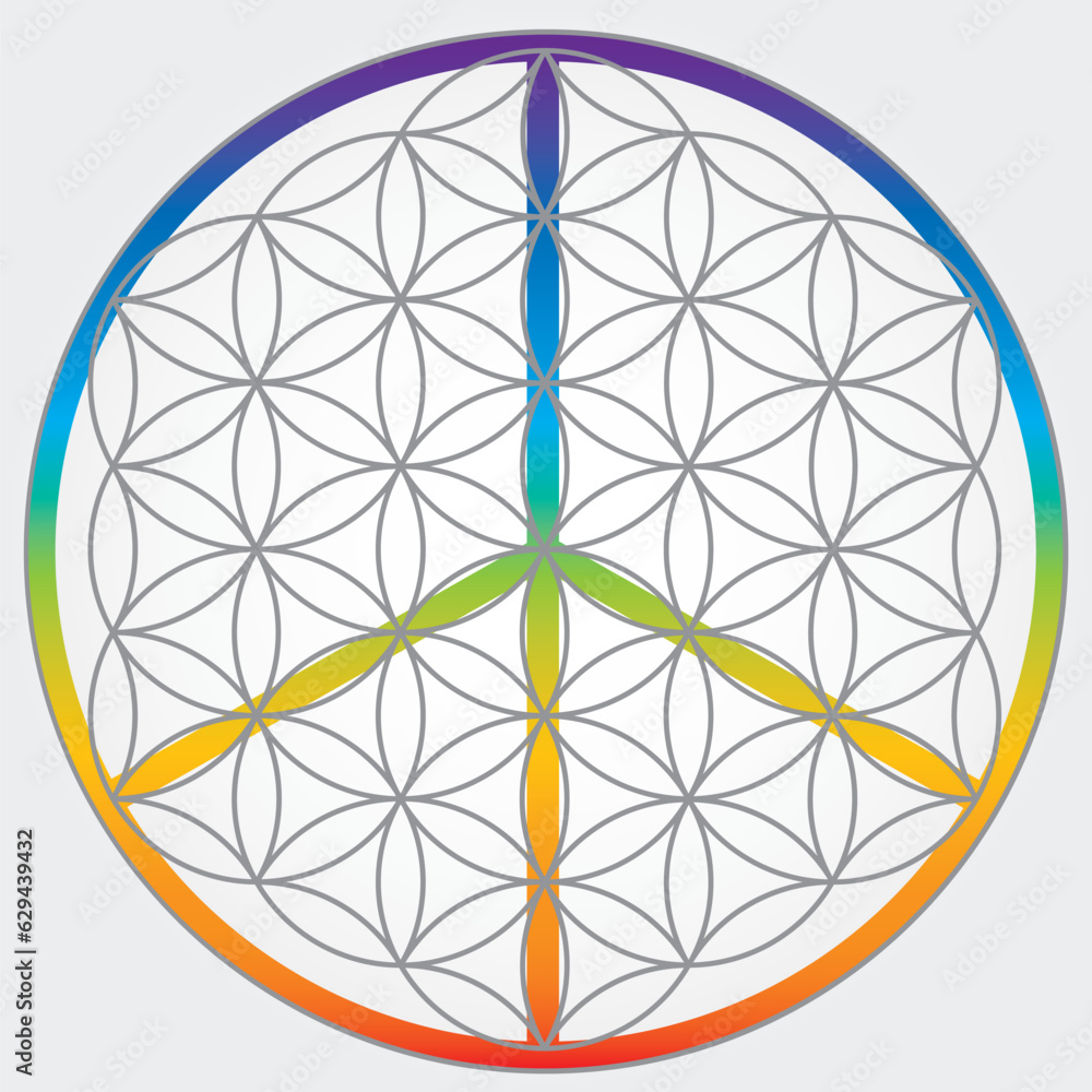 Symbole de la fleur de vie en couleurs grises, roue énergétique univers cosmique avec le symbole paix et amour