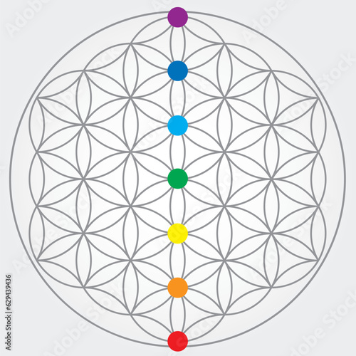 Symbole de la fleur de vie en couleurs grises, roue énergétique univers cosmique avec les sept couleurs de chakra