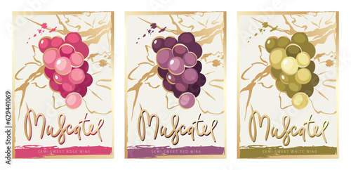Collection labels for Muscatel rose, white and red wines. Vector illustrations, set of backgrounds with grapes and gold strokes.