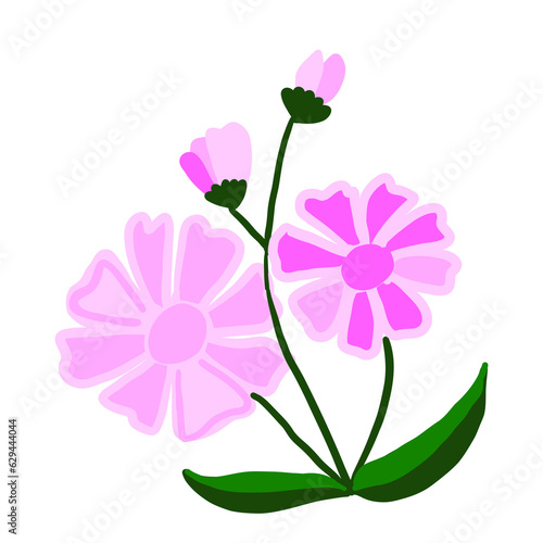 pink flower isolated on white background