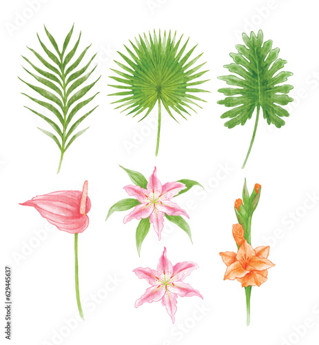 Set of tropical leaves watercolor 