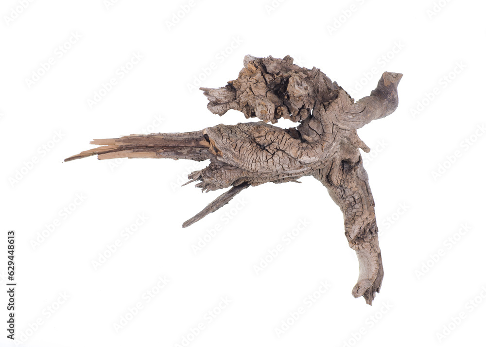 driftwood,old piece of wood isolated on white background driftwood,old piece of wood isolated on white background