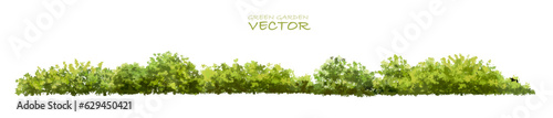 Vector of green grass or shrub isolated on white background,tree elevation for landscape concept,environment panorama scene,eco design,watercolor meadow for spring