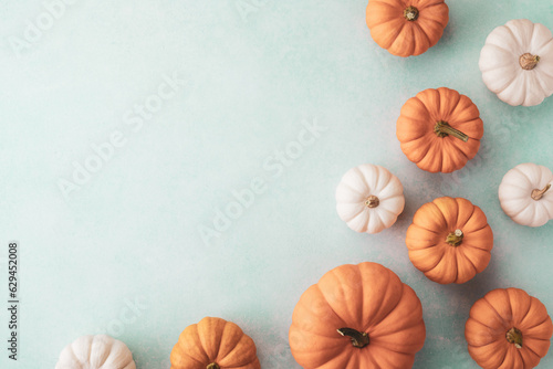 Little decorative pumpkins on blue table top view. Autumn, Thanksgiving or Halloween minimalist greeting card
