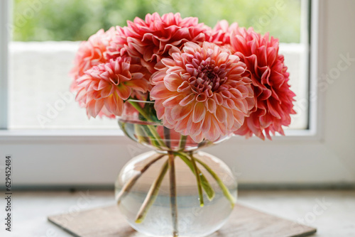 Vászonkép Bright pink dahlias in tall glass vase by window