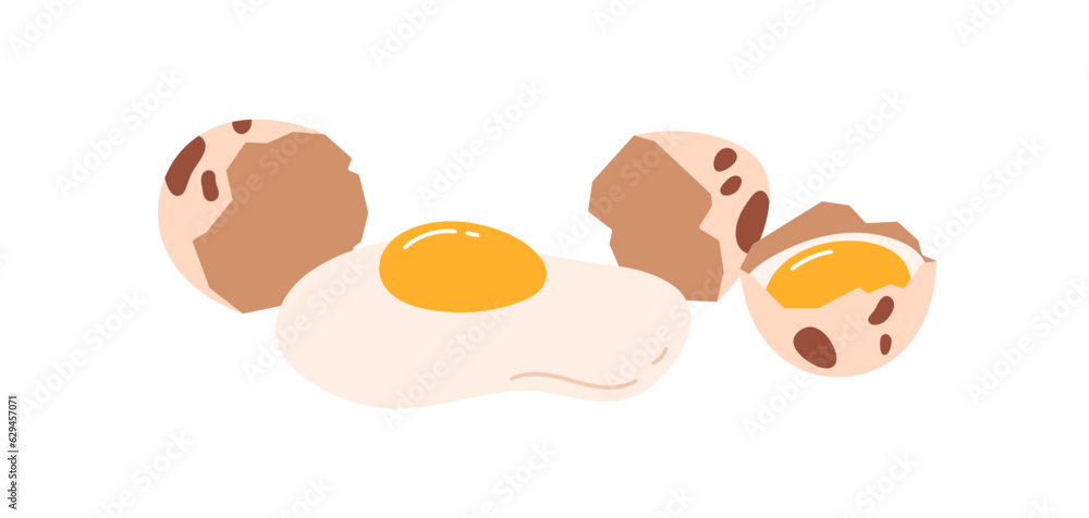 Quail egg with cracked split shell in little speckles. Raw mini protein and liquid yolk, shattered damaged spotted eggshell. Flat graphic vector illustration isolated on white background Quail egg with cracked split shell in little speckles. Raw mini protein and liquid yolk, shattered damaged spotted eggshell. Flat graphic vector illustration isolated on white background