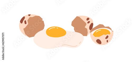 Quail egg with cracked split shell in little speckles. Raw mini protein and liquid yolk, shattered damaged spotted eggshell. Flat graphic vector illustration isolated on white background