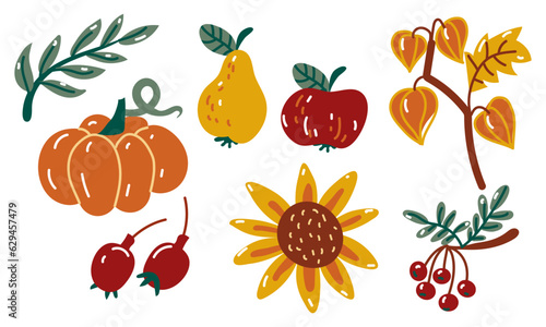 Fototapeta Naklejka Na Ścianę i Meble -  A set of autumn harvest items in cartoon style. Pumpkin, apple, pear, rosehip, rowan, sunflower on a white background. Collection of elements of the autumn harvest.