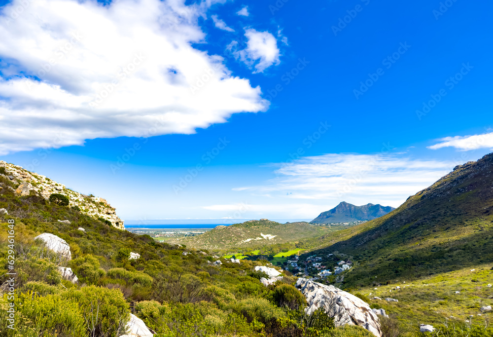 Coastal mountain landscape with fynbos flora in Cape Town..