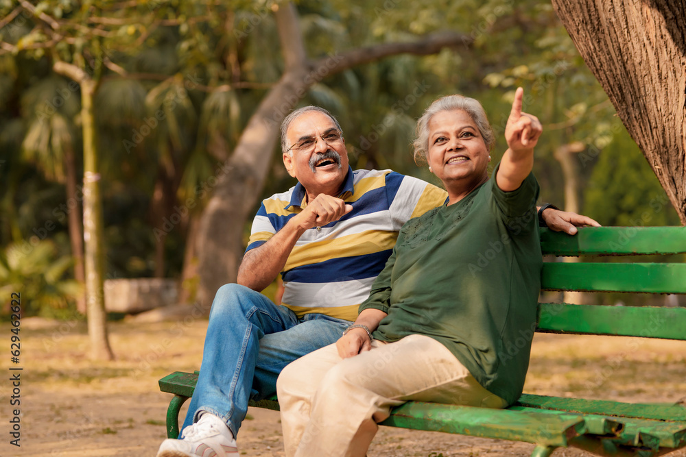indian old couple discuss at park.
