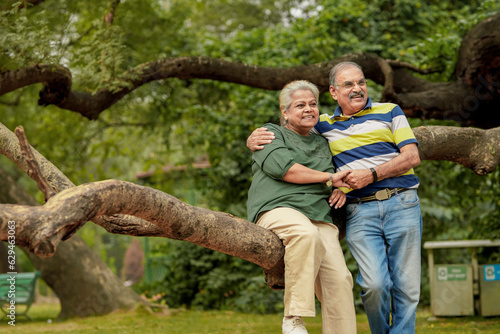 happy Indian senior couple together spending time at park. © Niks Ads