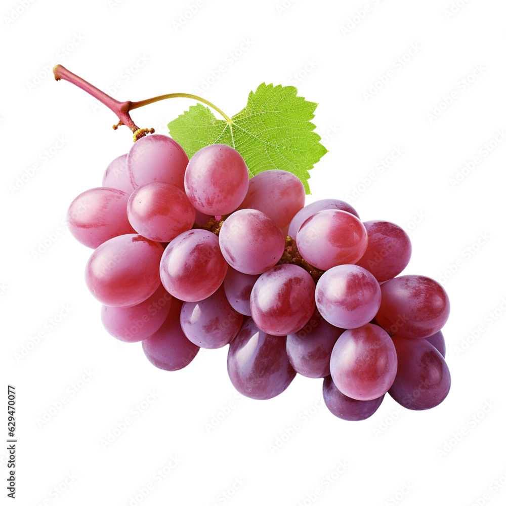 Fototapeta premium grape white background