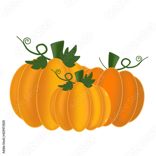 Pumpkin with leaves,Pumpkin,Halloween,cute,icon ,vector, illustration,hand drawn
