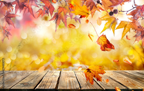 orange fall  leaves and old wooden board  autumn natural background